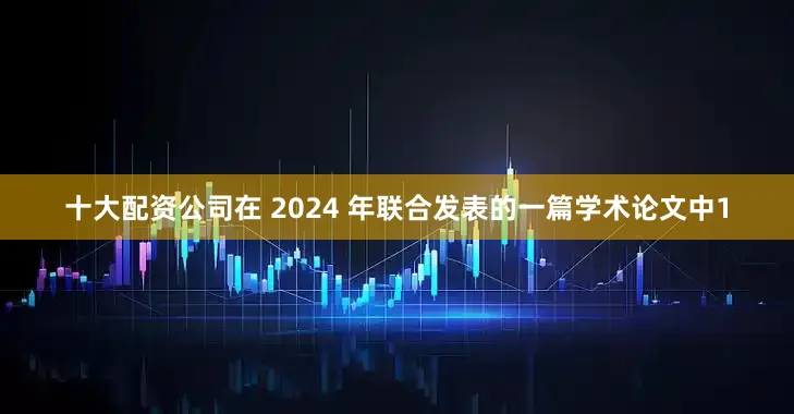 十大配资公司在 2024 年联合发表的一篇学术论文中1