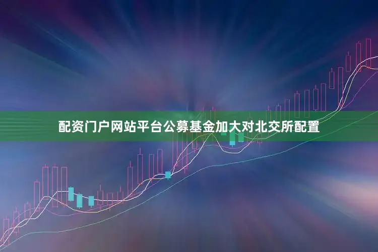 配资门户网站平台公募基金加大对北交所配置