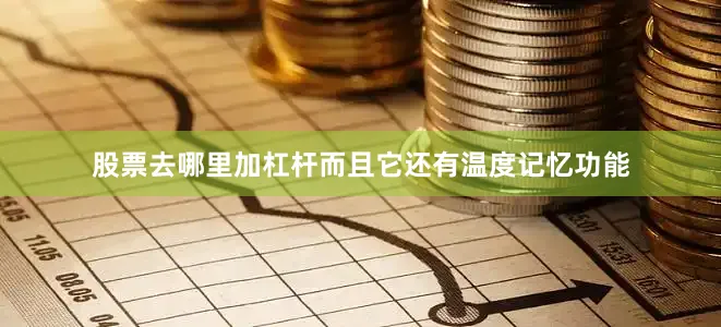 股票去哪里加杠杆而且它还有温度记忆功能