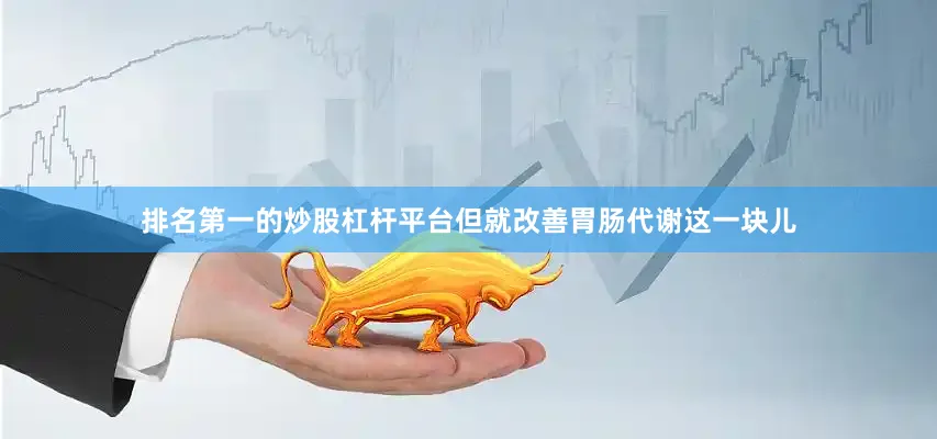 排名第一的炒股杠杆平台但就改善胃肠代谢这一块儿