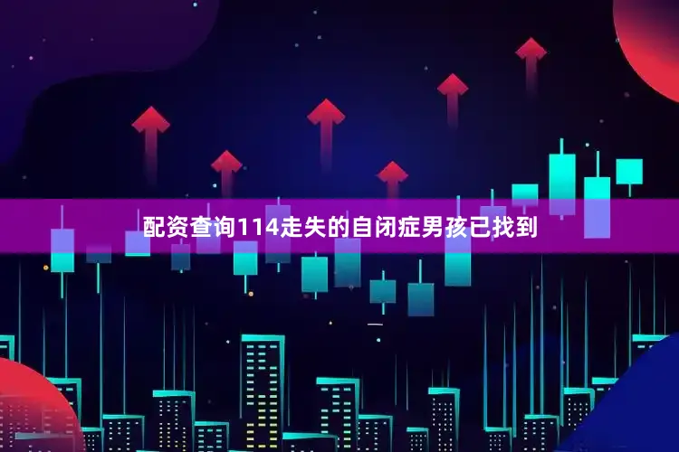 配资查询114走失的自闭症男孩已找到